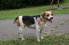 Ethel