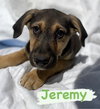 Jeremy
