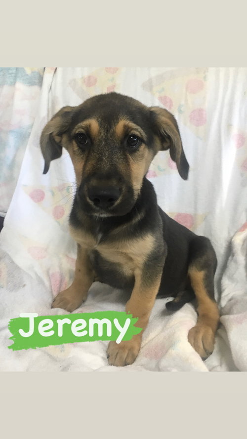 Jeremy