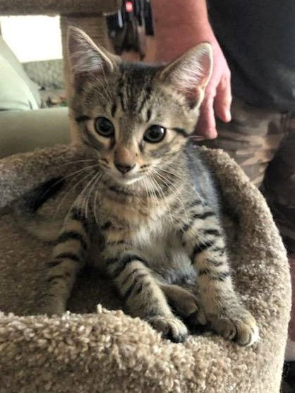 Leo