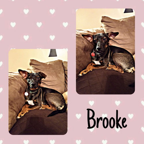 Brooke