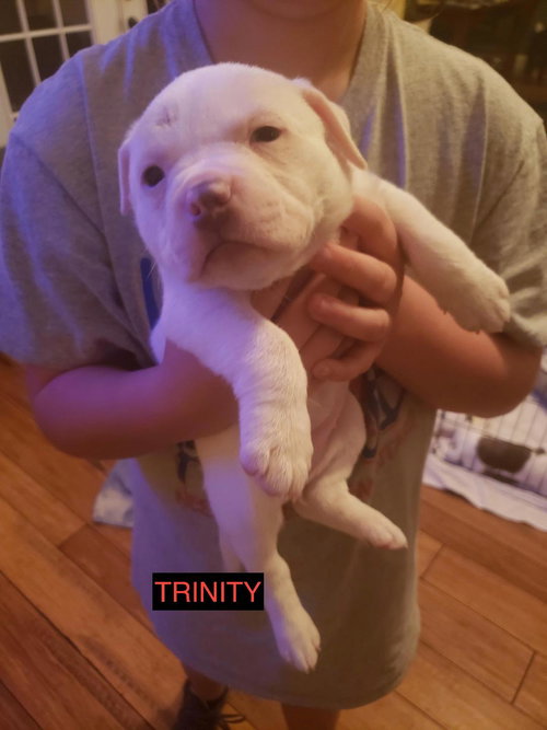 Trinity