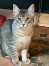 Margo