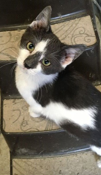 Billy