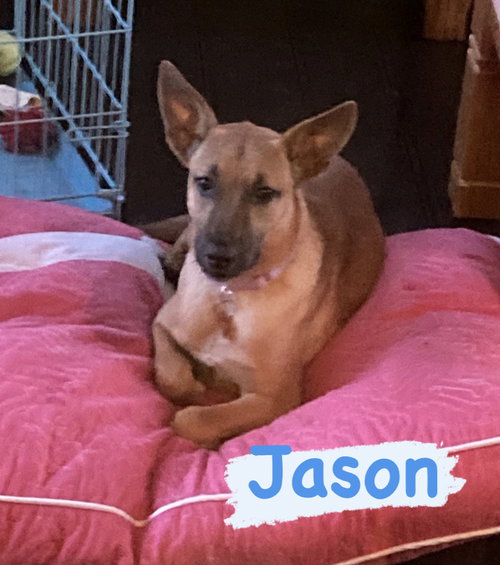Jason
