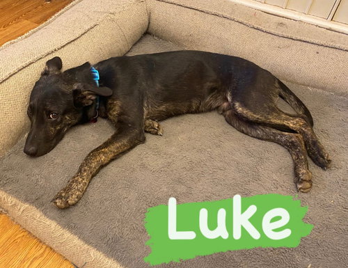 Luke