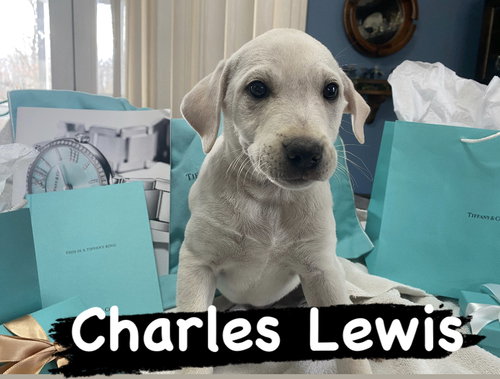 Charles Lewis