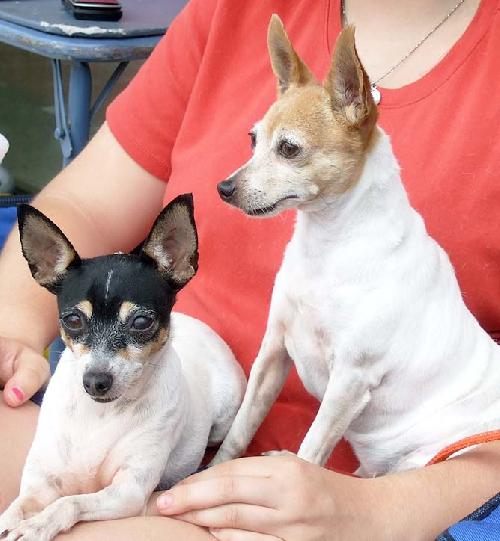 Lena & Dixie