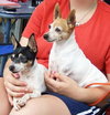 Lena & Dixie