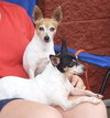 Lena & Dixie