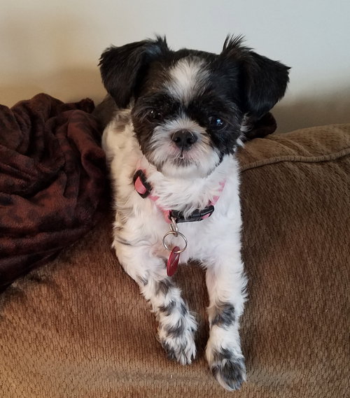 Tiny