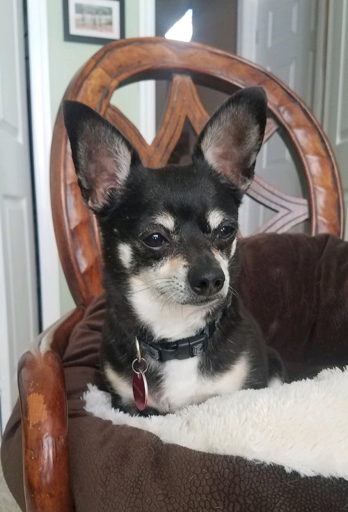 Barkley