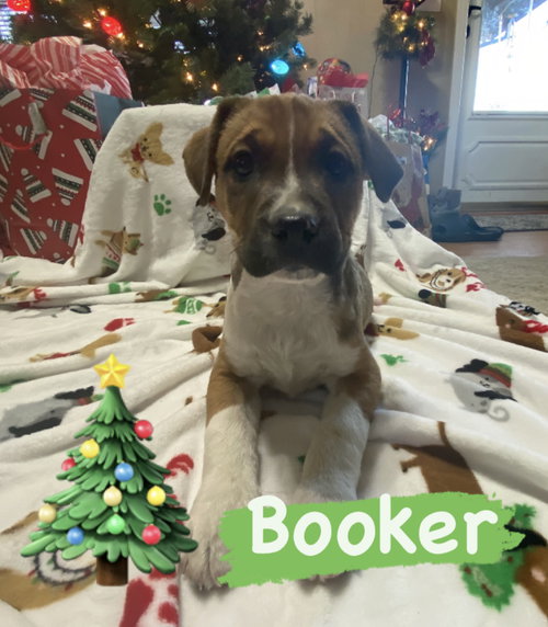 Tucker