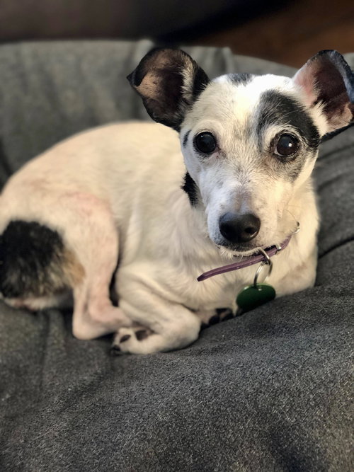 Winnie