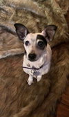Winnie