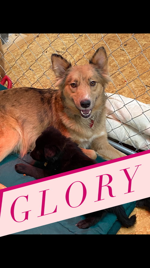 Glory