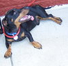 Bailey