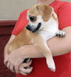 Ethel