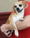 Ethel