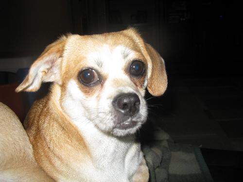 Ethel