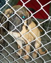 Wilma