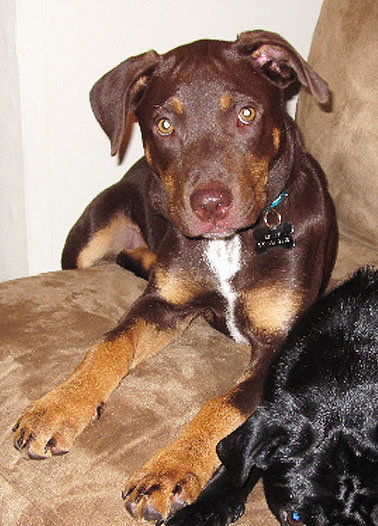 Coco