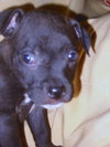 Little Lola Lopp