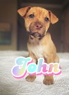 John