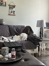 Esther