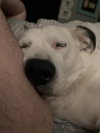 Esther