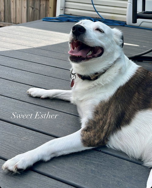 Esther
