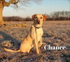Chance