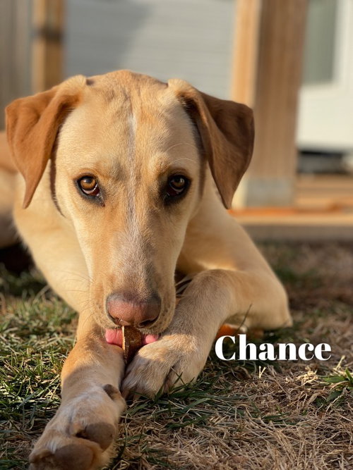 Chance