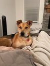 Samson