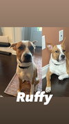 Ruffy