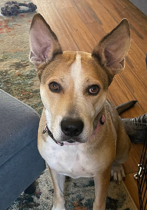 Wilma
