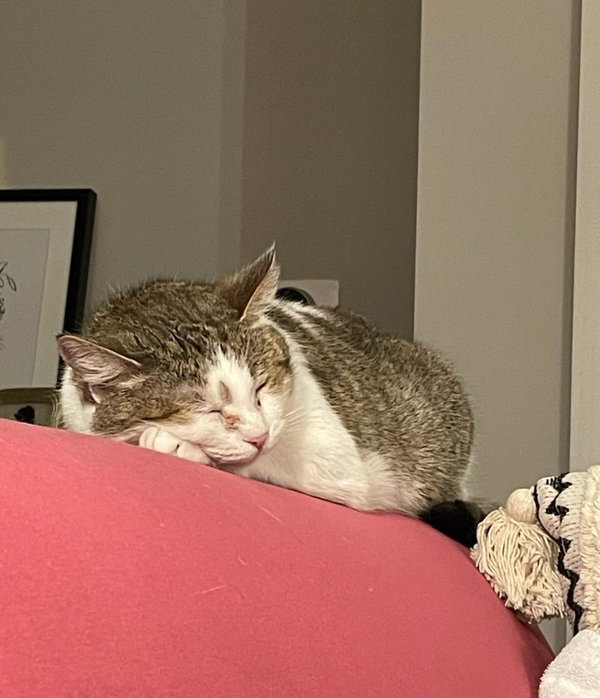 Sugar