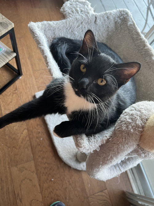 Tux