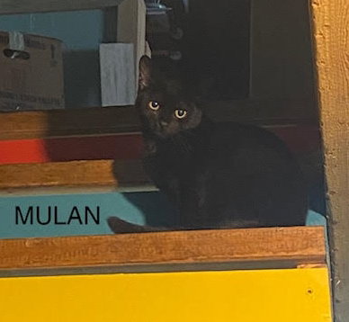 Mulan