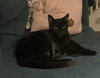 Endora