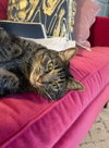 Felicity - Photo 2