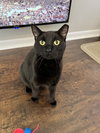Gina