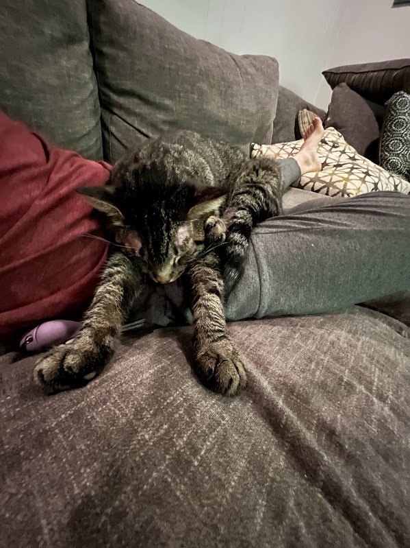 Buddy, photo 9