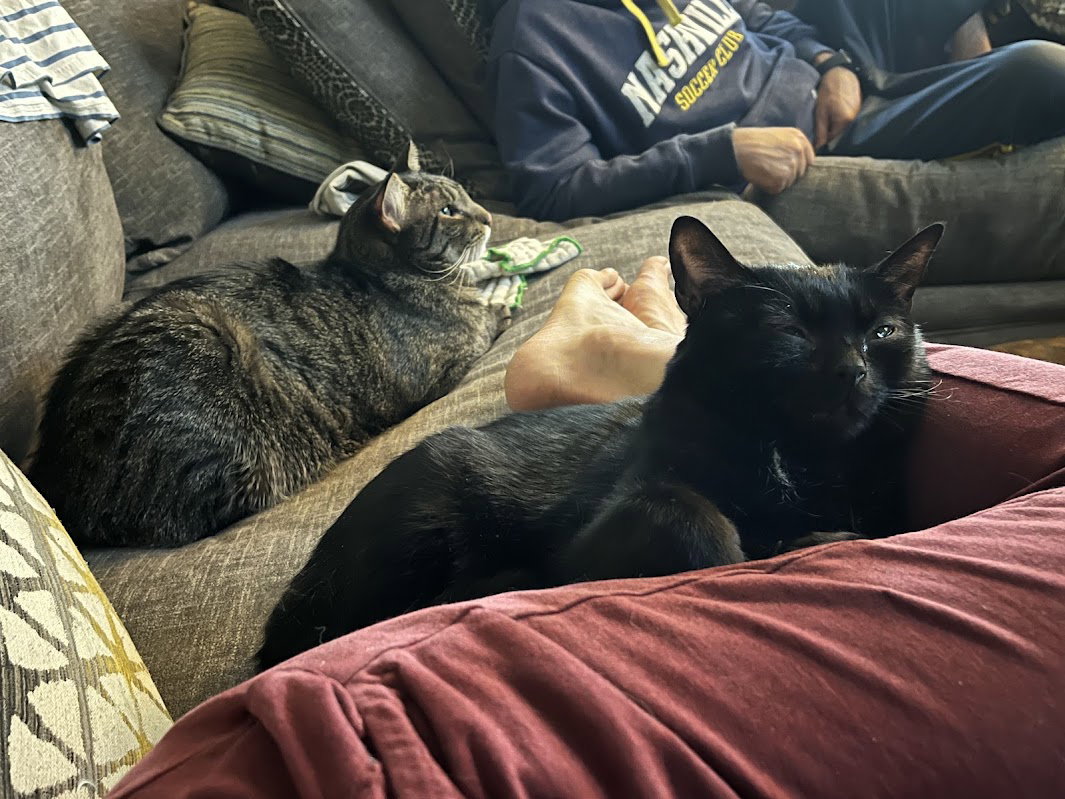 Buddy, photo 10