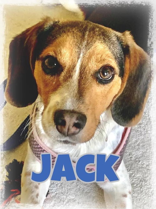 Jack