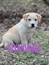 Winnie