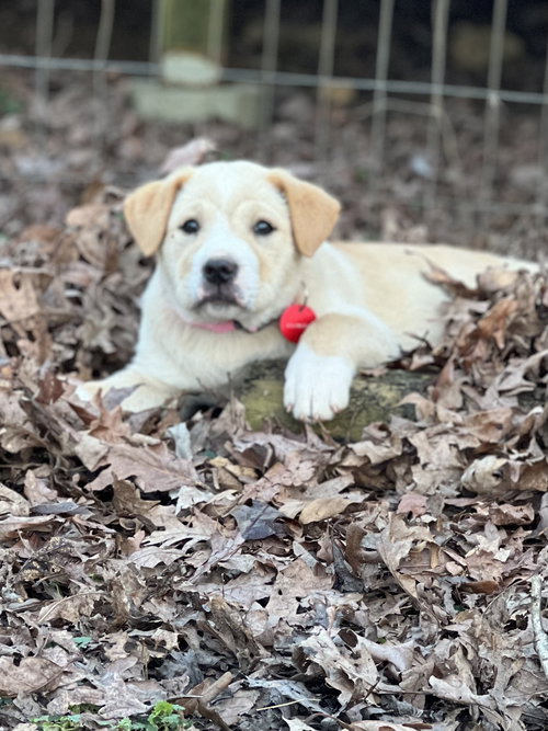 Winnie