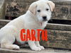 Garth