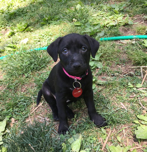 Ellie