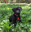 Ellie
